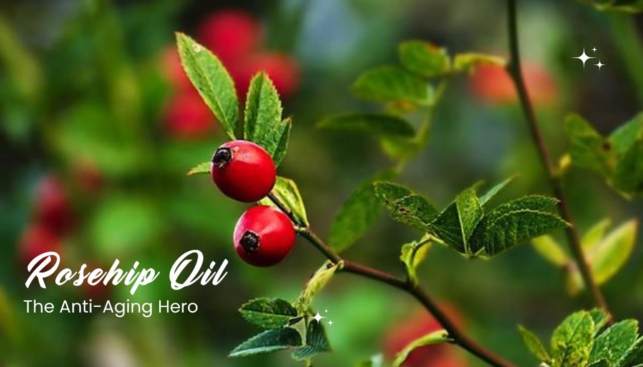 How to Use Natural Oils in Your Skincare Routine -Without Breaking Out